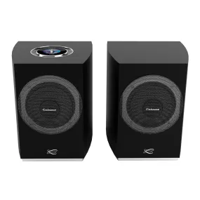 Cabasse Rialto Powered Wireless Bookshelf Hi-fi System (pair)