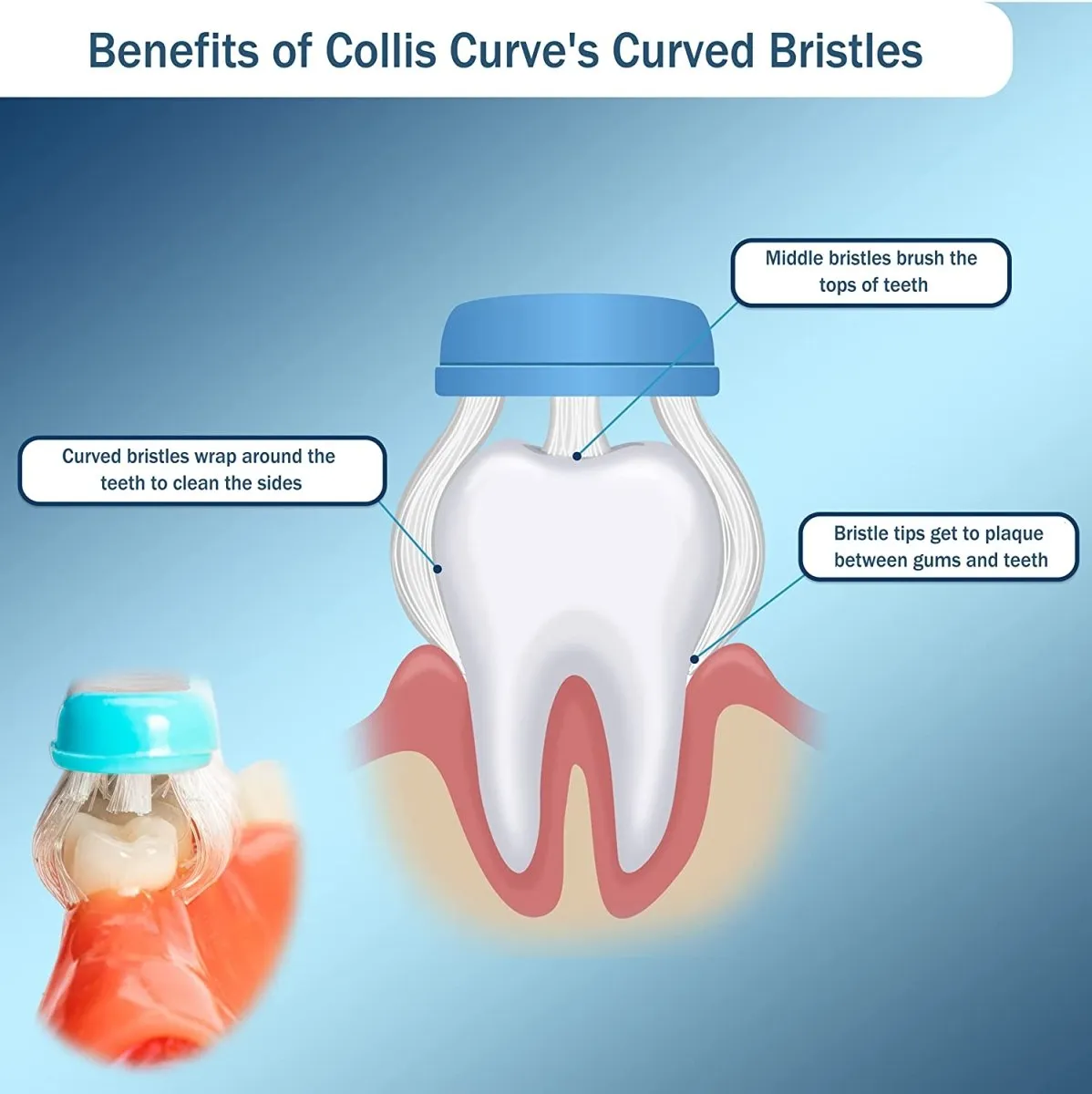 Collis Curve Toothbrush