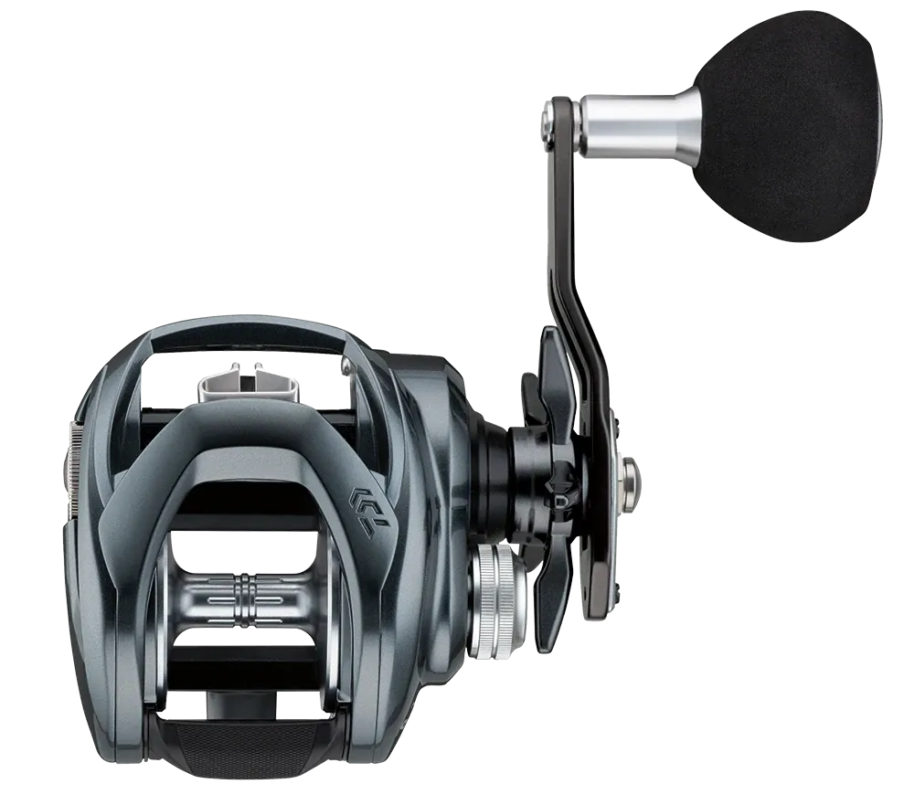 Daiwa 21 Lexa TW