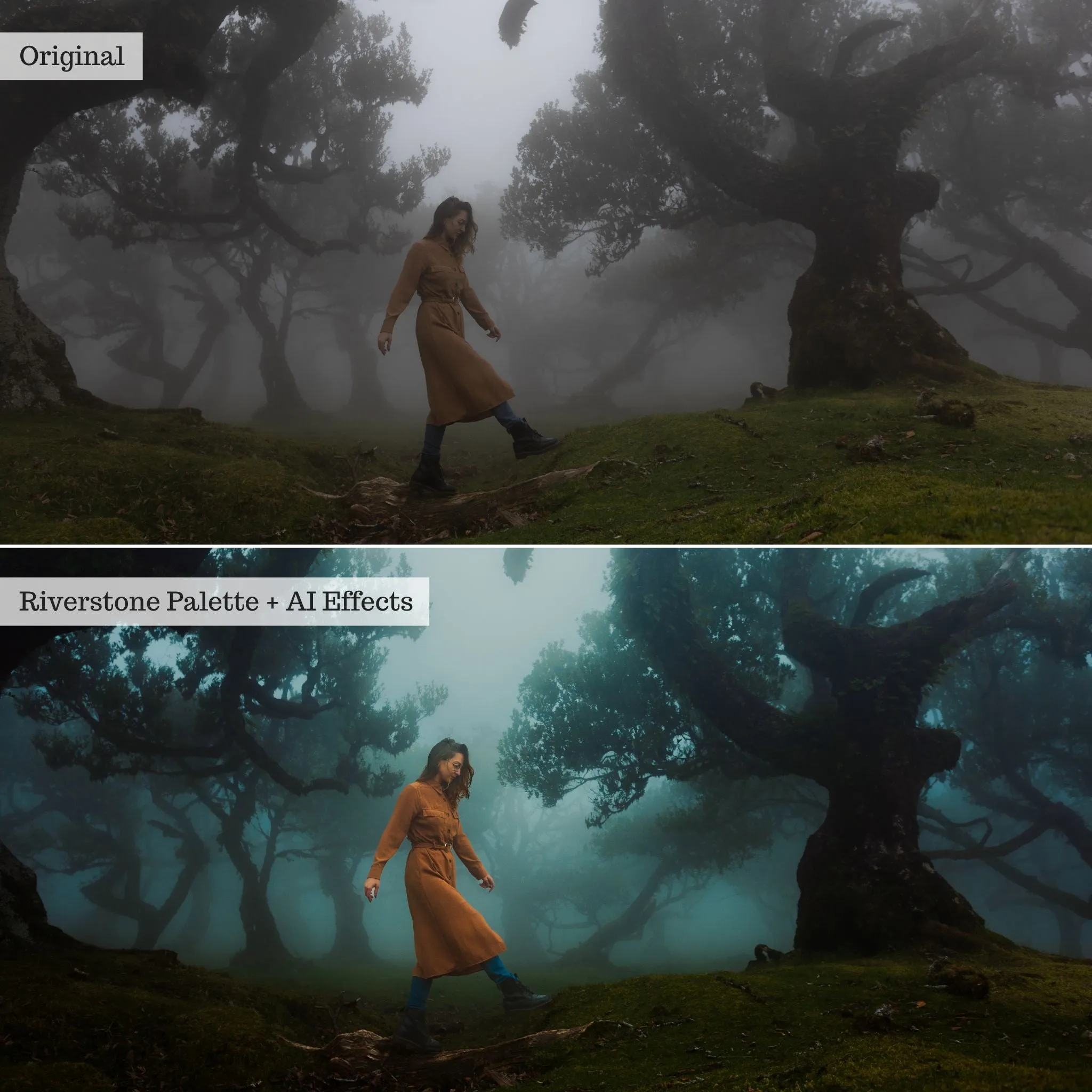 DigiFilm | Earthborn Hues 2.0 Lightroom Presets & AI Tools