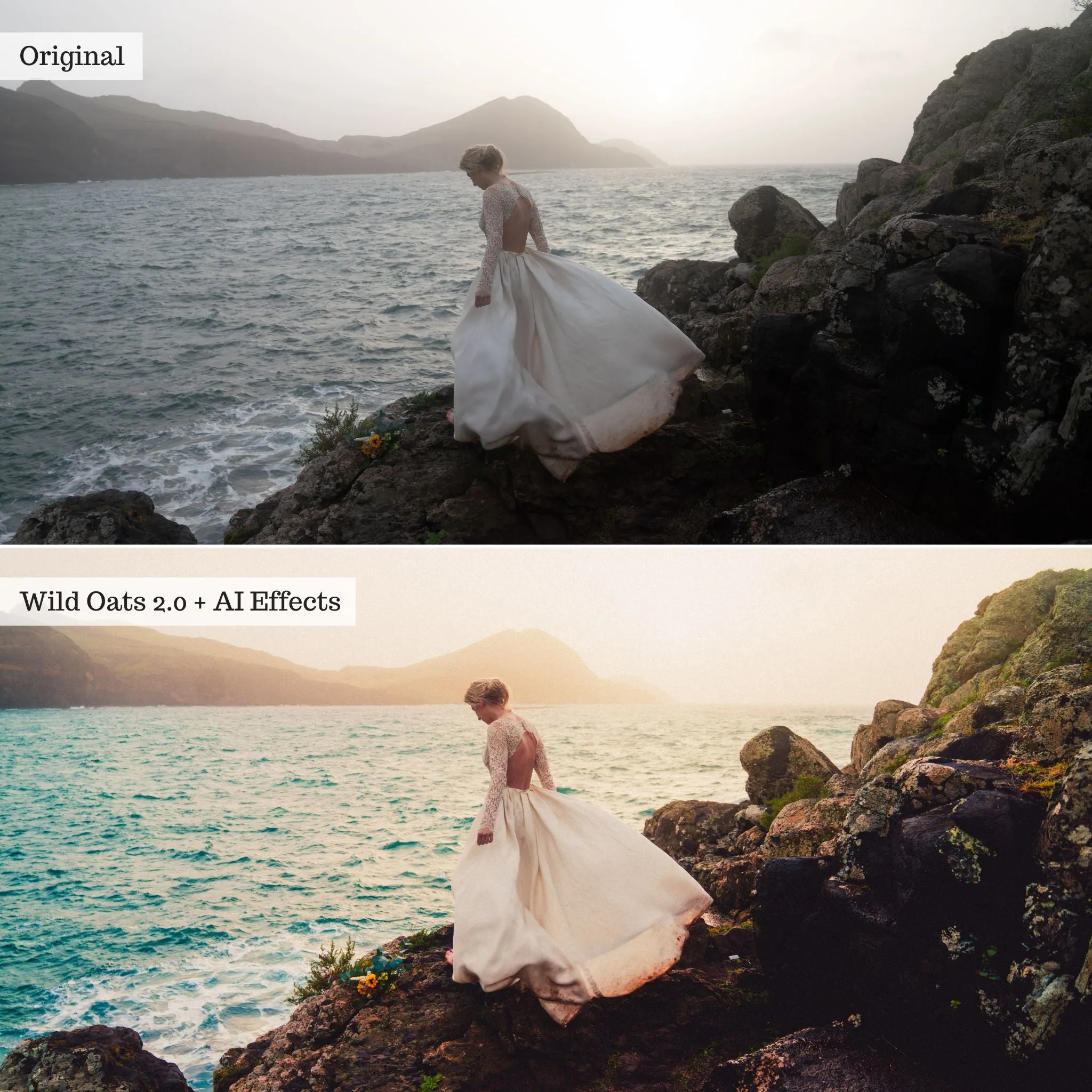 DigiFilm | Earthborn Hues 2.0 Lightroom Presets & AI Tools