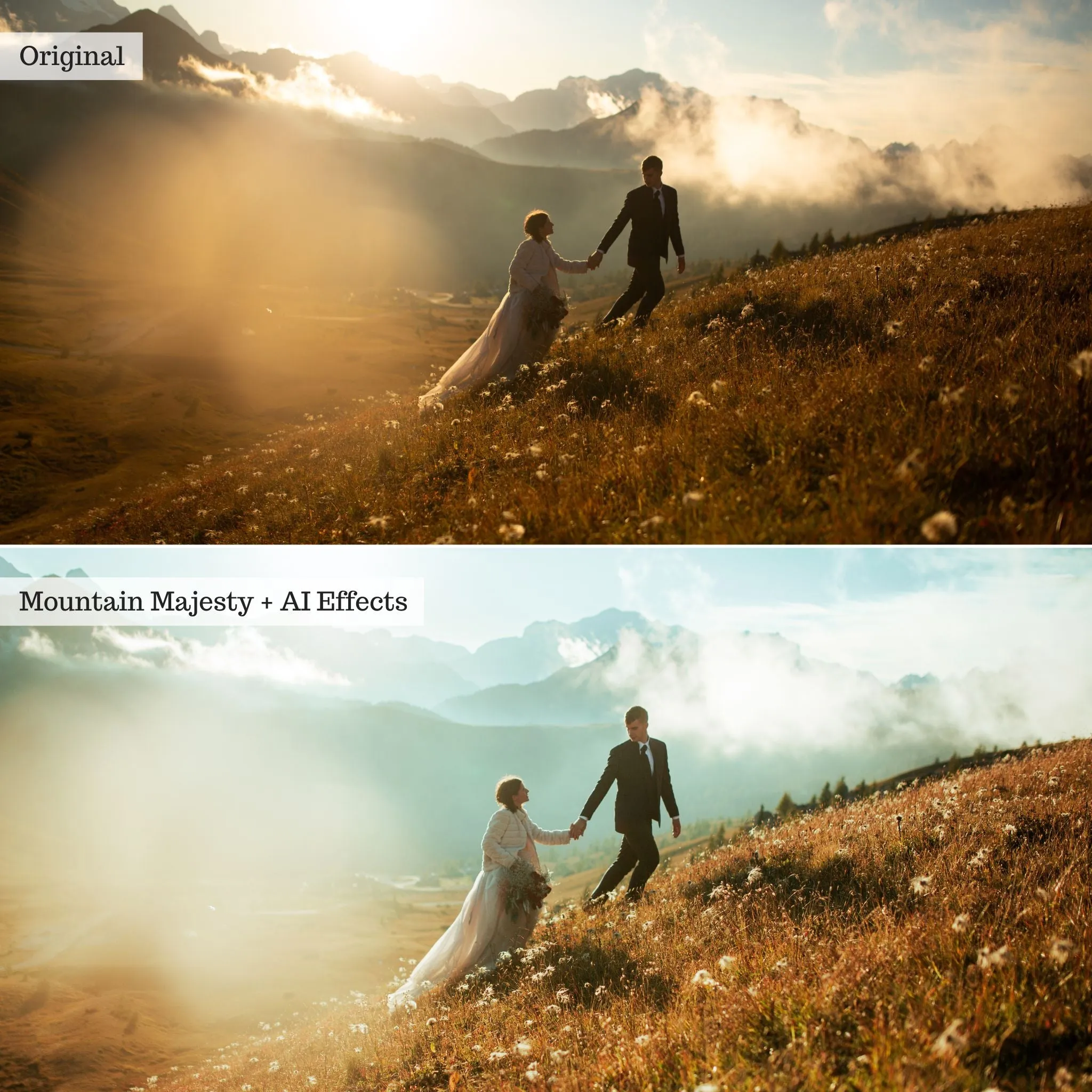 DigiFilm | Earthborn Hues 2.0 Lightroom Presets & AI Tools