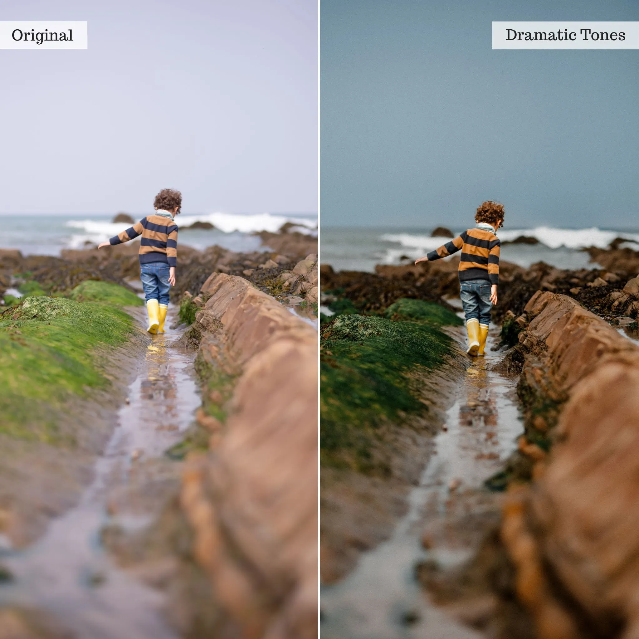 Earthy Moods 2.0 Lightroom Presets & AI Powered Tools – Desktop & Mobile