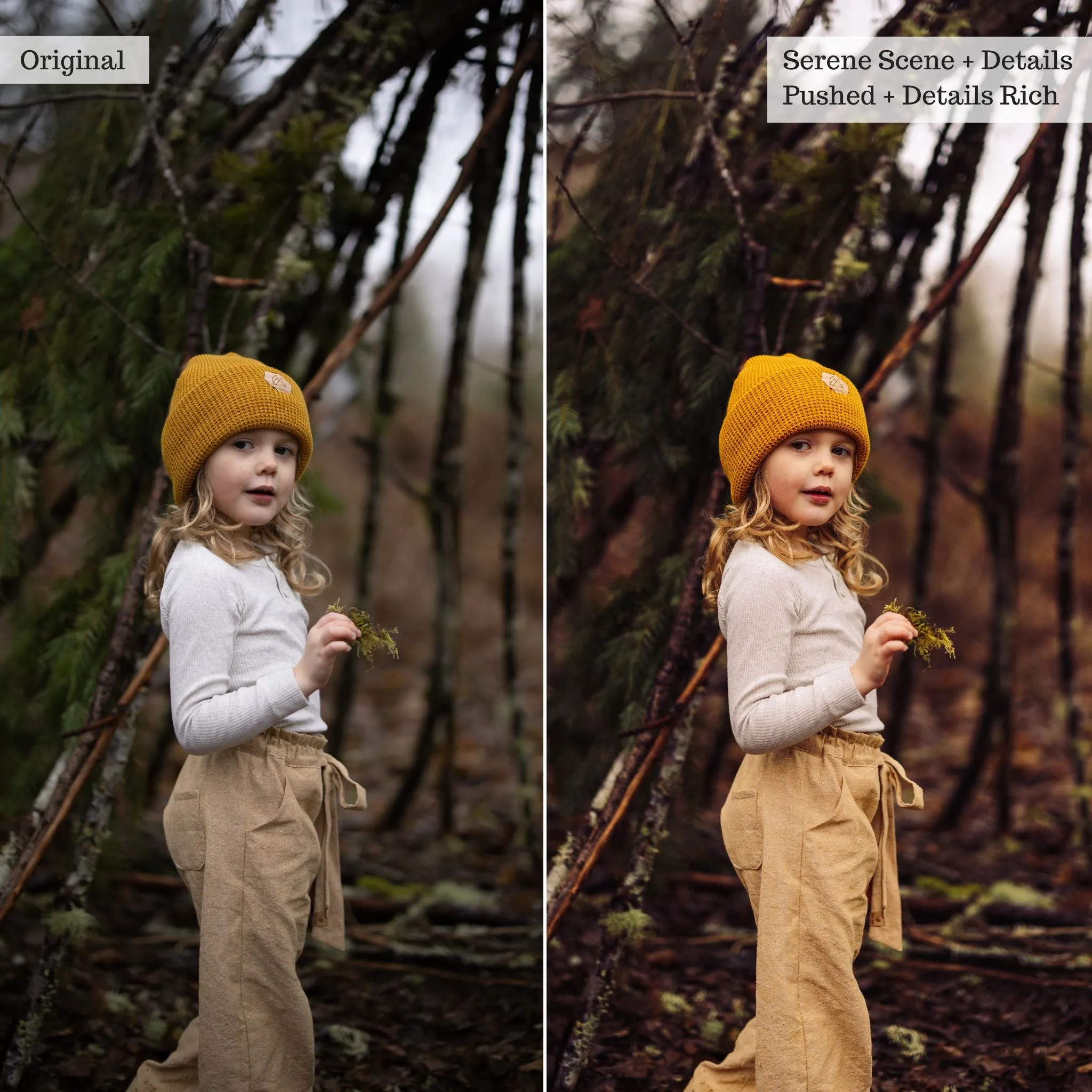 Earthy Moods 2.0 Lightroom Presets & AI Powered Tools – Desktop & Mobile