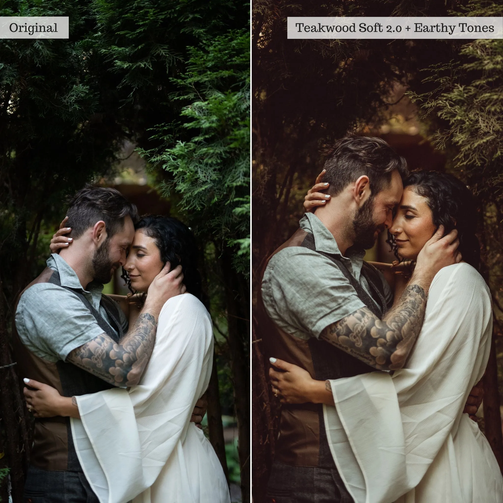 Earthy Moods 2.0 Lightroom Presets & AI Powered Tools – Desktop & Mobile