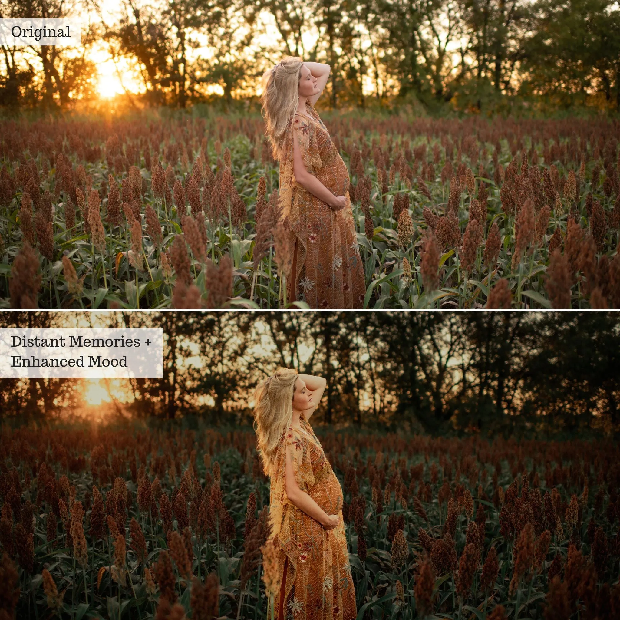 Earthy Moods 2.0 Lightroom Presets & AI Powered Tools – Desktop & Mobile