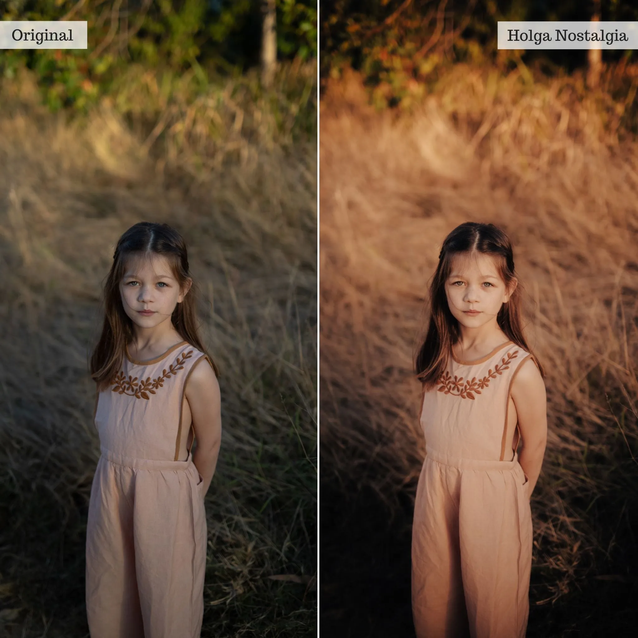 Film Essentials 2.0 Lightroom Presets – Desktop & Mobile