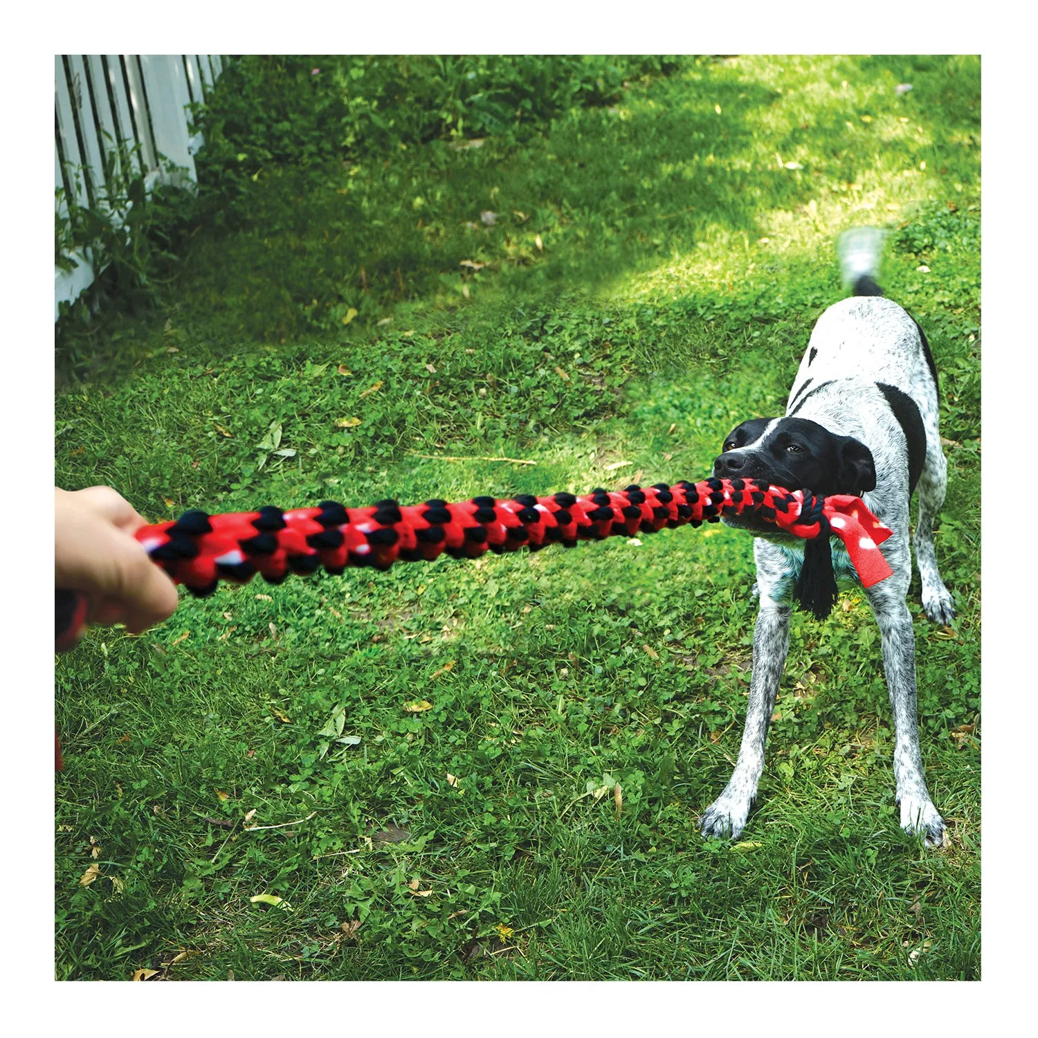 KONG Signature Rope Mega Dual Knot Dog Toy X-Large