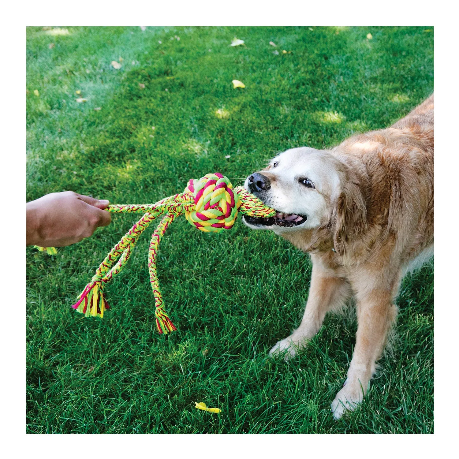 KONG Wubba Weaves with Rope Dog Toy