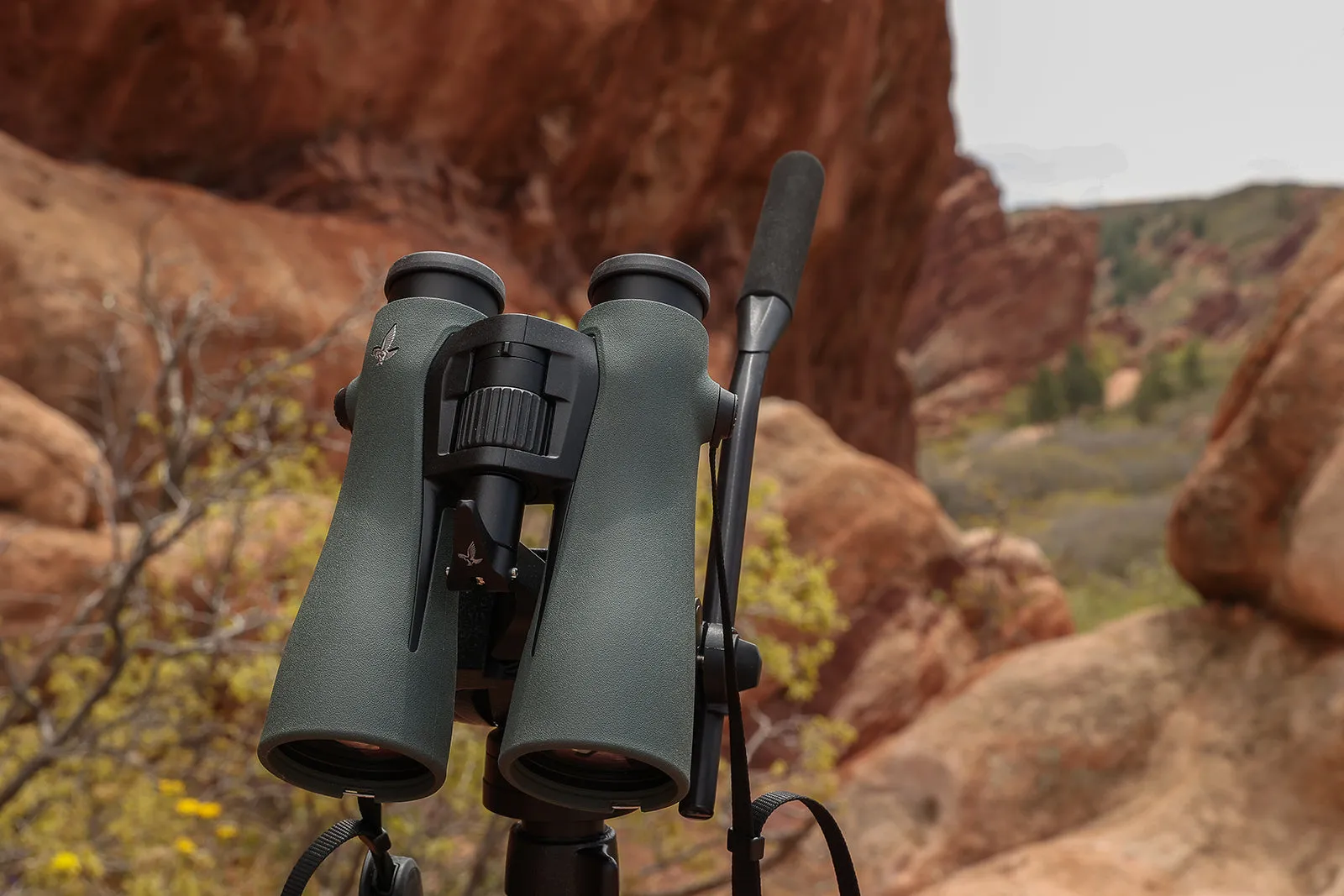 NL Pure 10x52 Binoculars