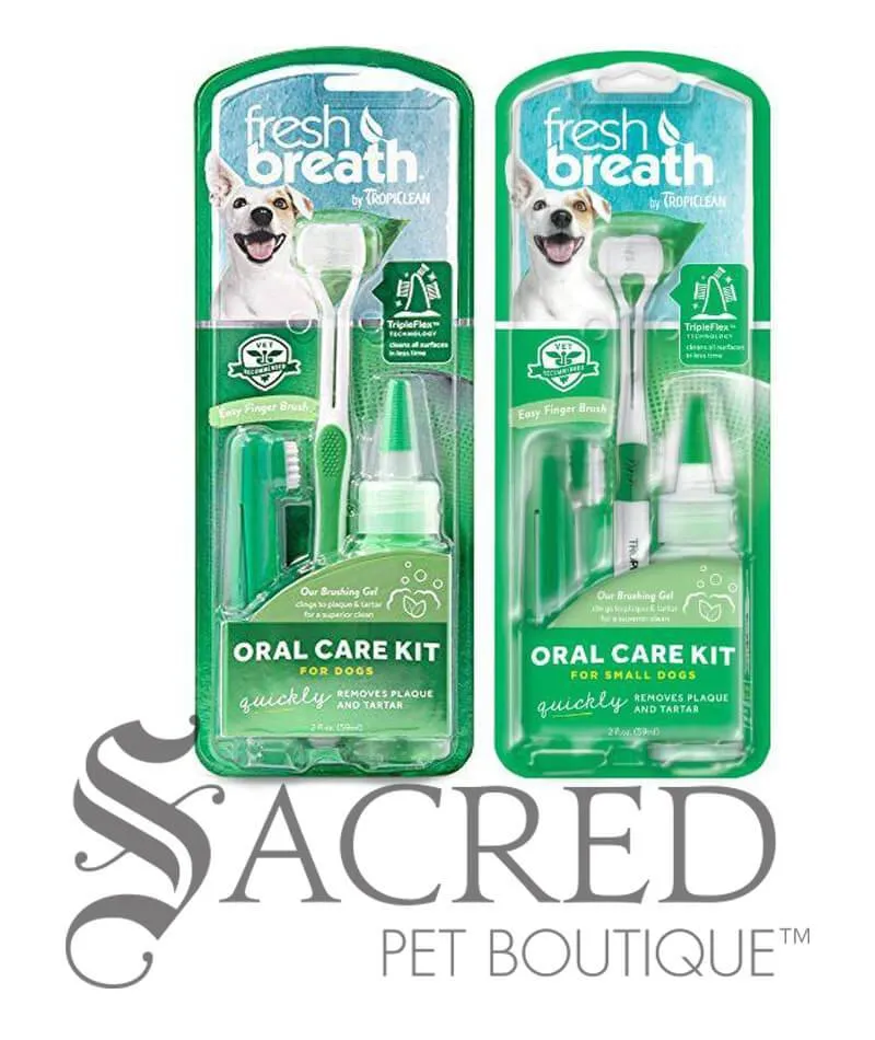 Oral Care Kit