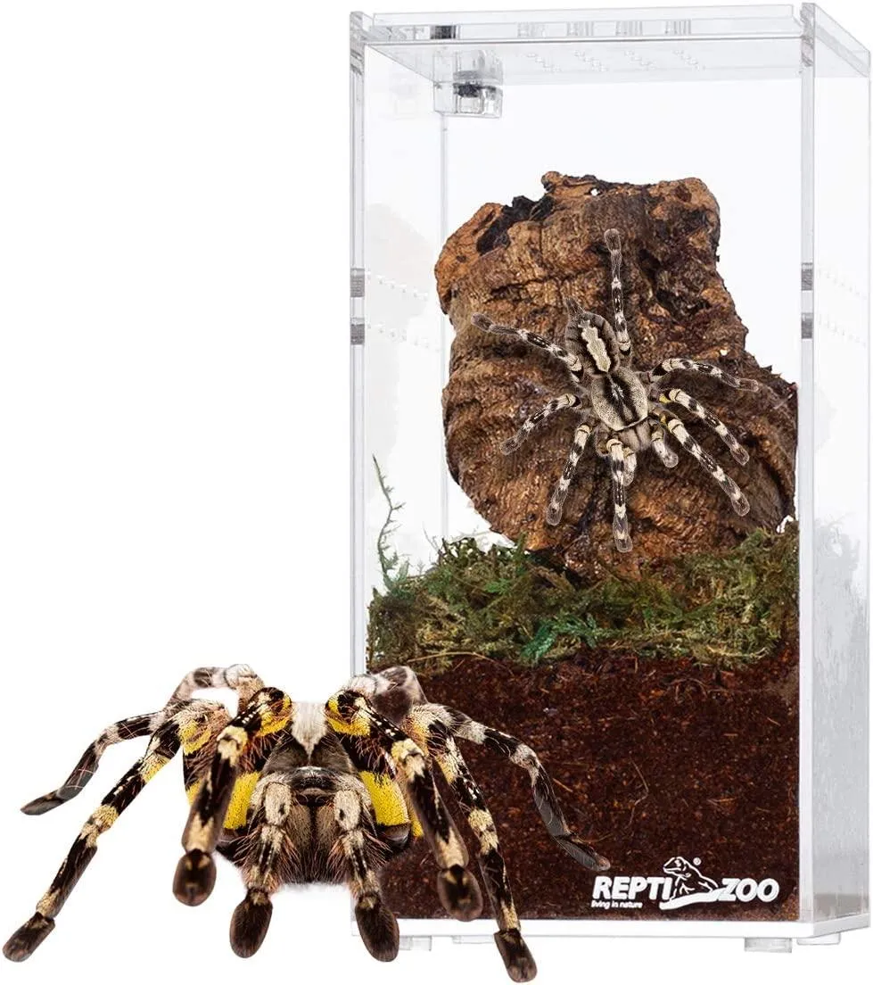 REPTI ZOO Magnetic Acrylic Reptile Breeding Box 3"x3"x6" Transparent Feeding Box