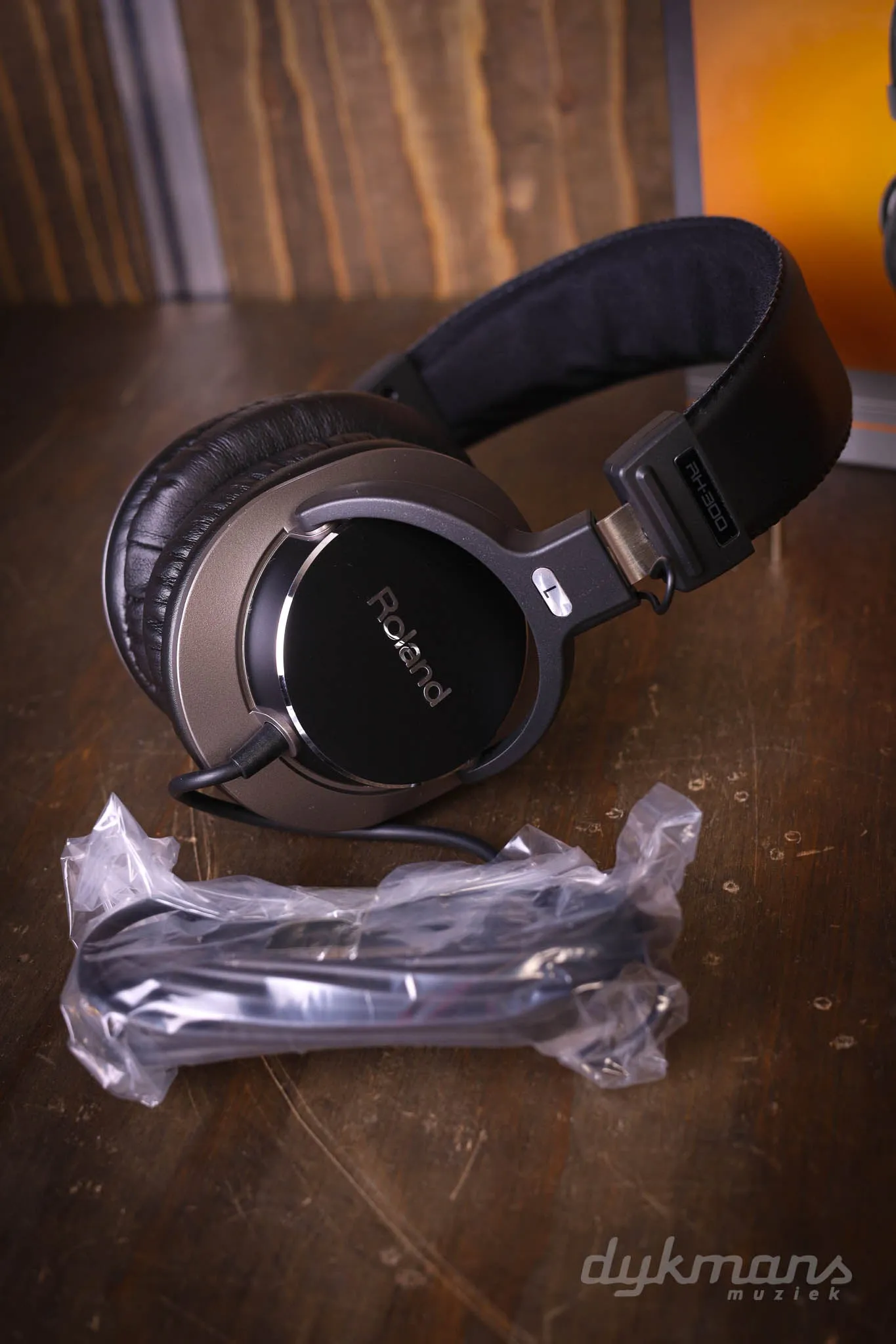 Roland RH-300 Monitor headphones