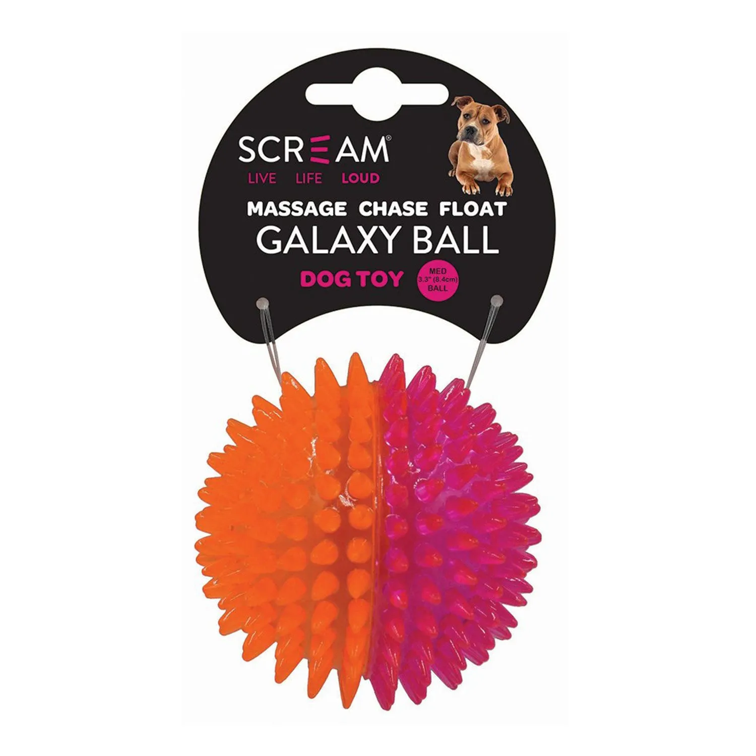 Scream Galaxy Ball Dog Toy