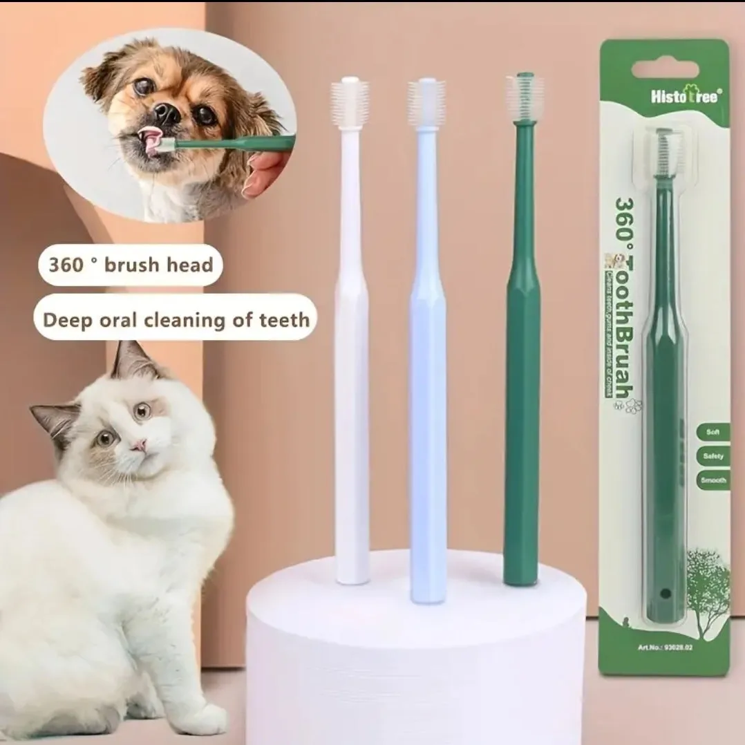 Small round head toothbrush