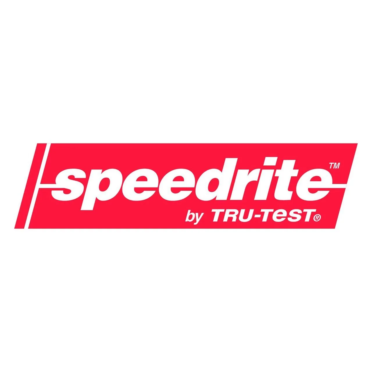 Speedrite 6000 main module