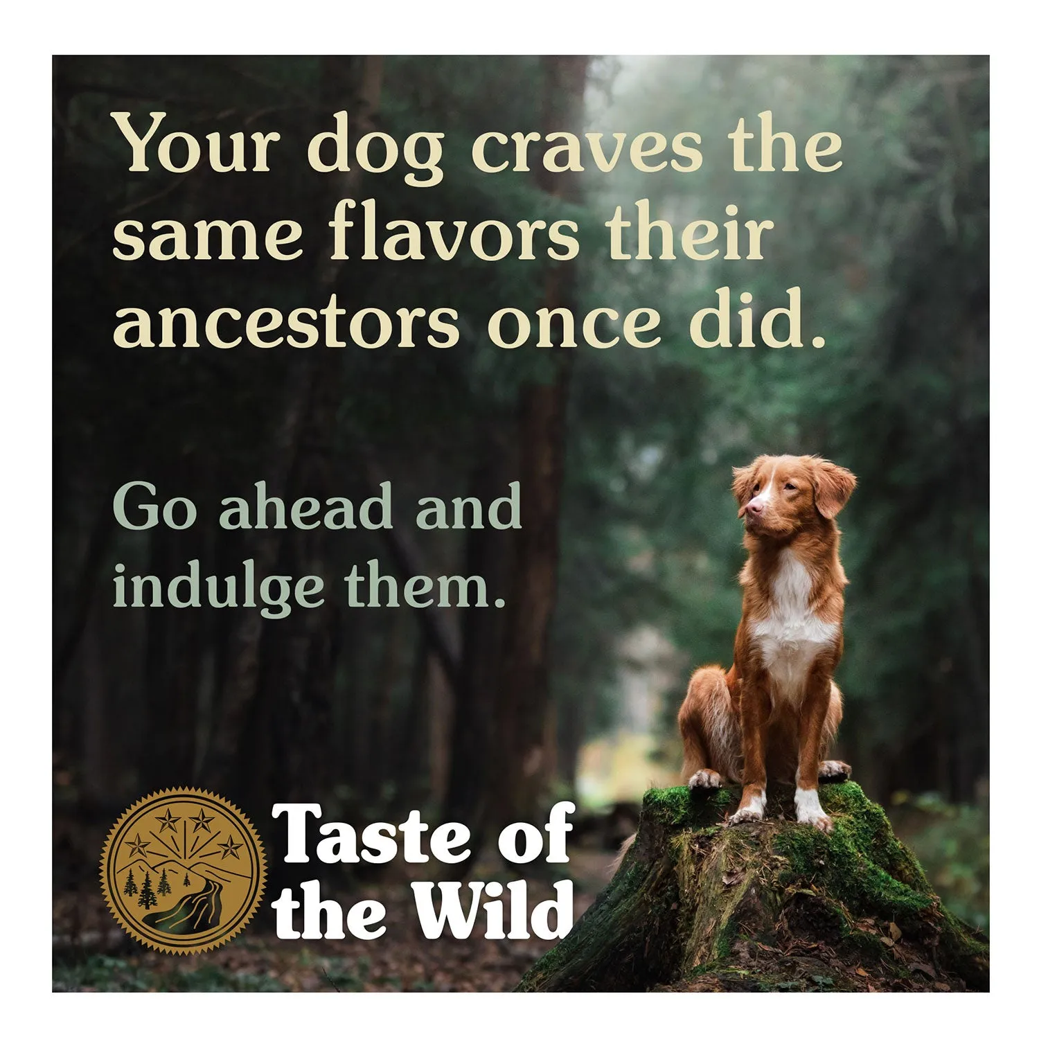 Taste of the Wild Grain Free Appalachian Valley Small Breed Adult Dry Dog Food