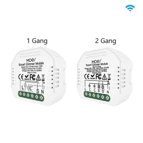 WiFi 2 Gang Dimmer Switch  Module DIY Smart  Light LED Dimmable Interruptor Relay